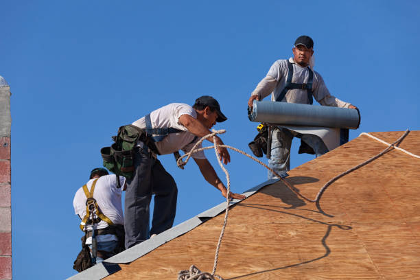 Best Roof Leak Repair  in Glen Ellyn, IL