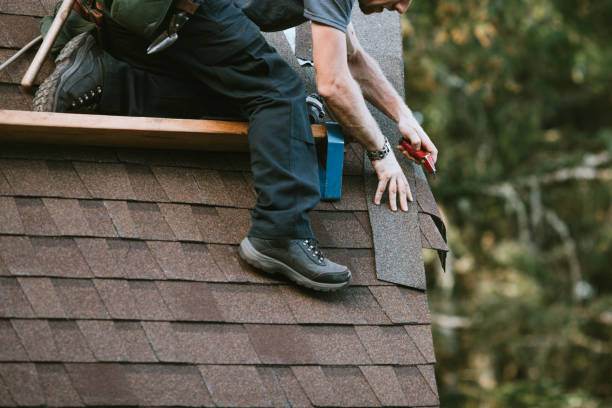 Quick and Trustworthy Emergency Roof Repair Services in Glen Ellyn, IL